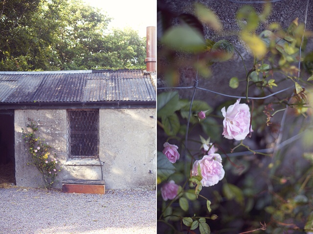 Ballymaloe | nathalie.ie