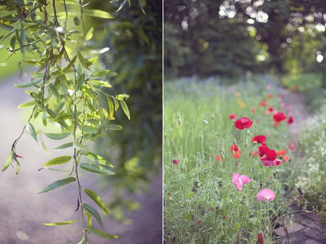 Ballymaloe | nathalie.ie