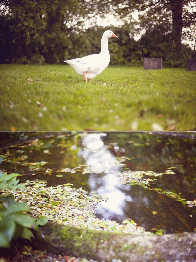 Ballymaloe | nathalie.ie
