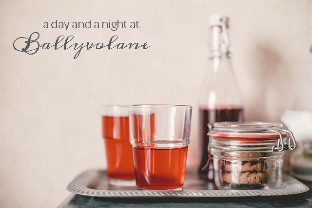 Ballyvolane House | nathalie.ie