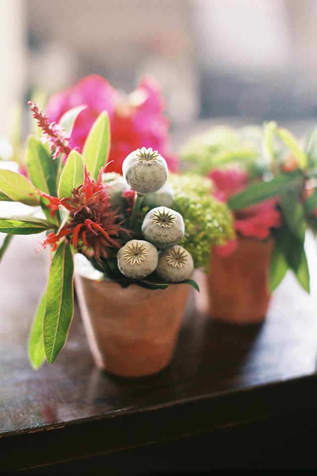 35mm film pics | nathalie.ie