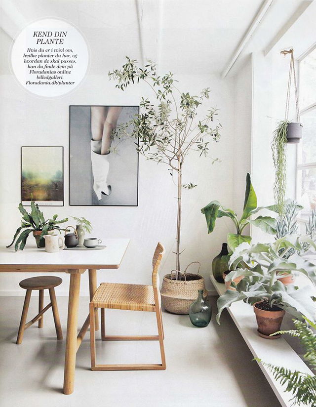 5 rental friendly interiors trends to update your space for spring. 