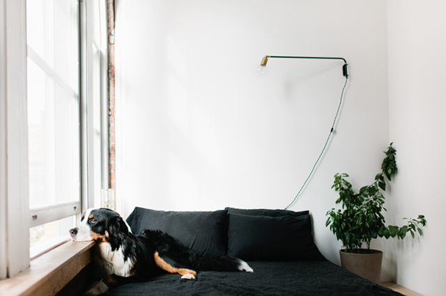 Madelynn Furlong's Minneapolis apartment | http://theeverygirl.com