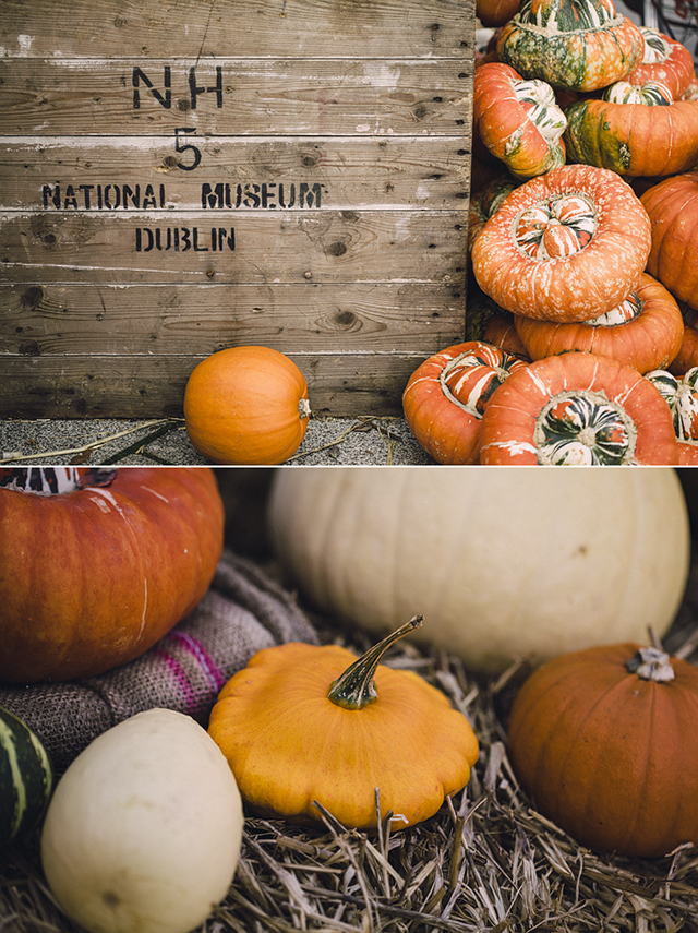 Hallowe'en pumpkins at the National Botanic Gardens, Dublin