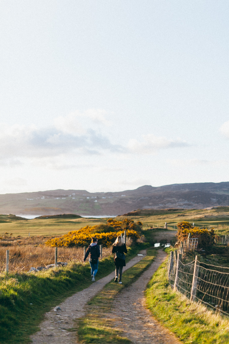 Donegal gorse | nathalie.ie
