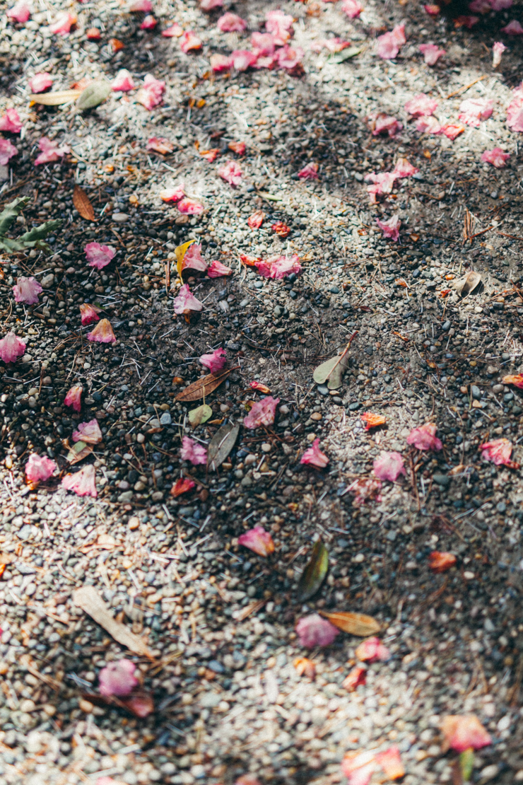 Glenveagh National Park, Donegal | nathalie.ie
