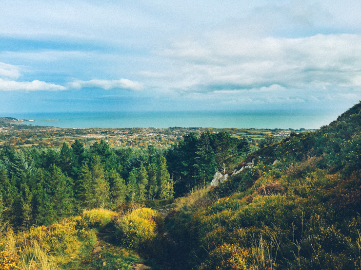 Lead mines walk, Dublin | nathalie.ie