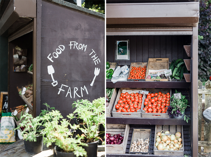 A visit to Ballymaloe | nathalie.ie