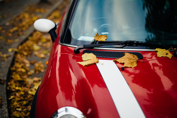 An Autumn Stroll | nathalie.ie