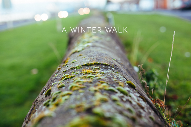 A winter walk | nathalie.ie