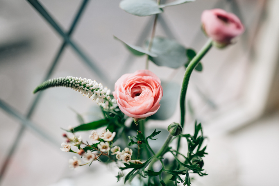 Ranunculus | nathalie.ie