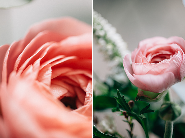 Ranunculus | nathalie.ie