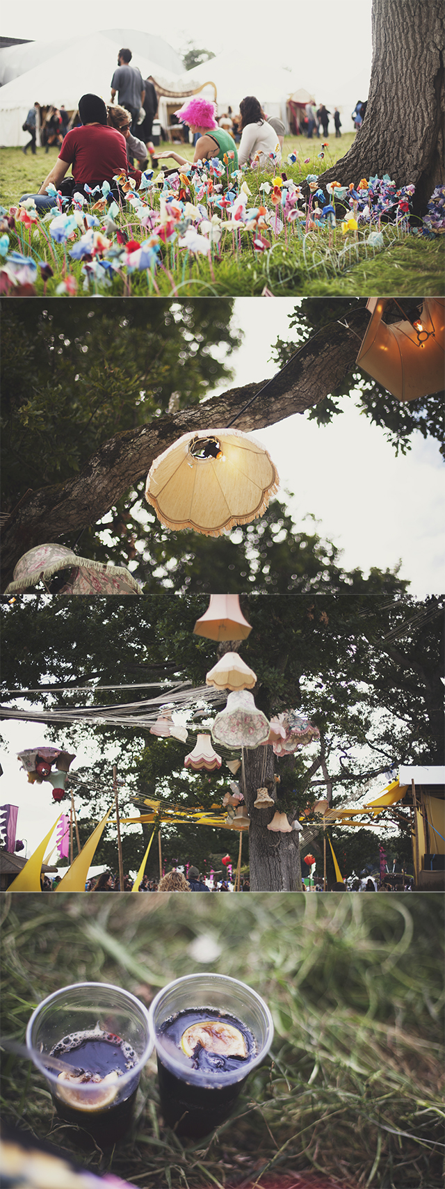 Electric Picnic 2012 | nathalie.ie