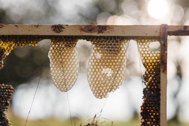 Brookfield Farm - lifestyle photography | nathalie.ie