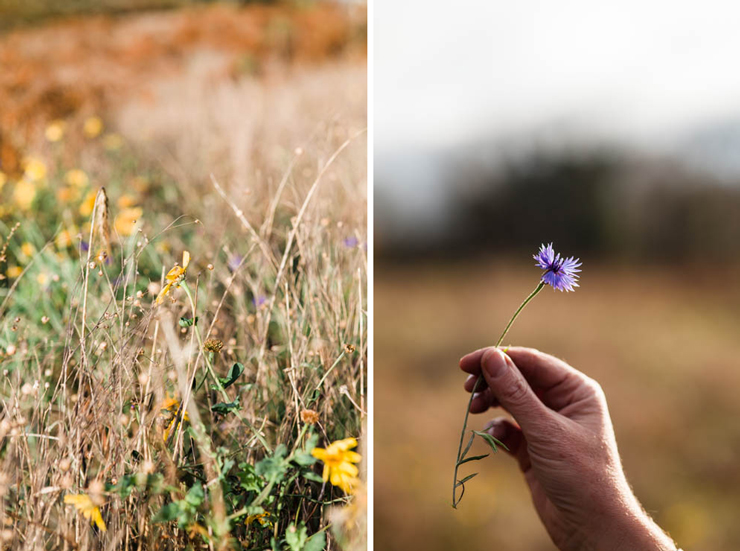 Brookfield Farm - lifestyle photography | nathalie.ie