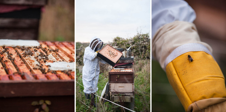 Brookfield Farm - lifestyle photography | nathalie.ie
