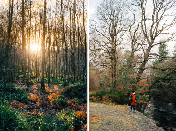 Hustle before heart | nathalie.ie