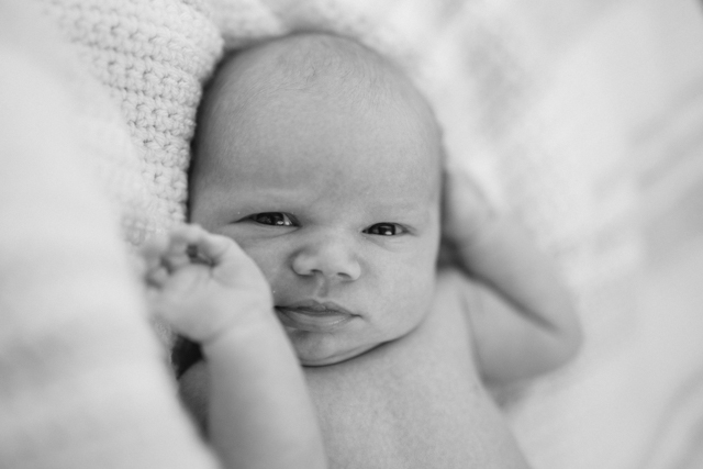 Introducing Sam | nathalie.ie