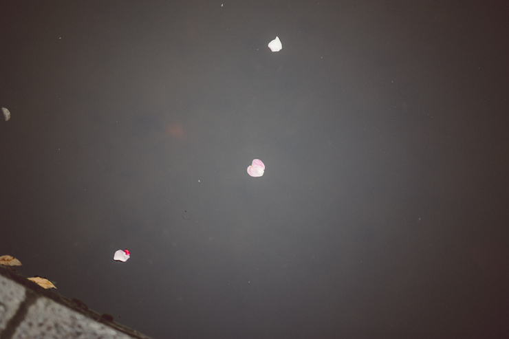 War Memorial Gardens Dublin | nathalie.ie