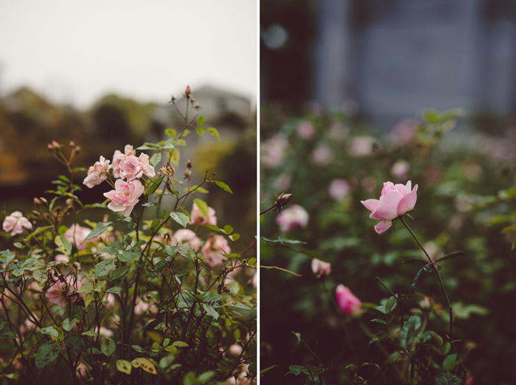 War Memorial Gardens Dublin | nathalie.ie