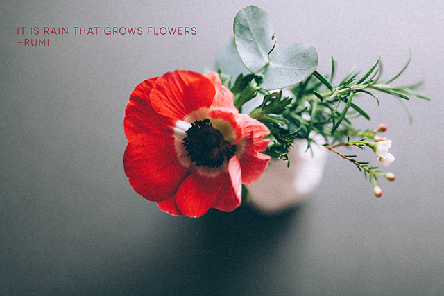 " It is rain that grows flowers" - Rumi | desktop wallpaper download | nathalie.ie
