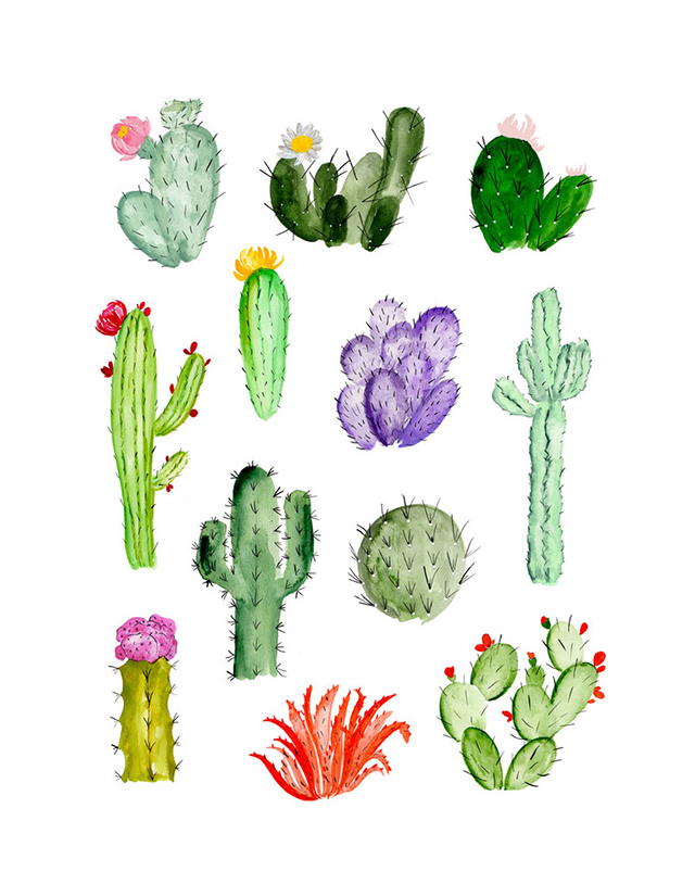 SKirsten_Cactus_11x14_1024x1024