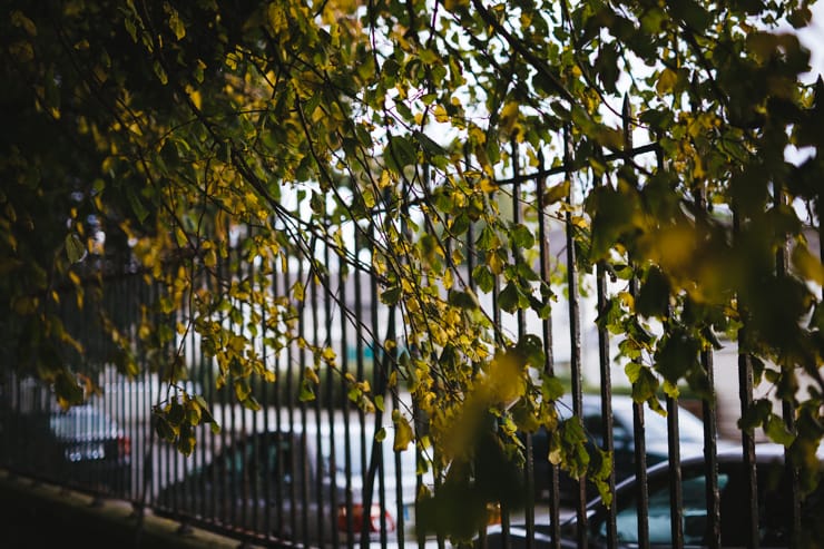 An Autumn Stroll | nathalie.ie