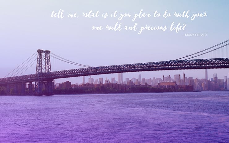 Happy New Year | nathalie.ie