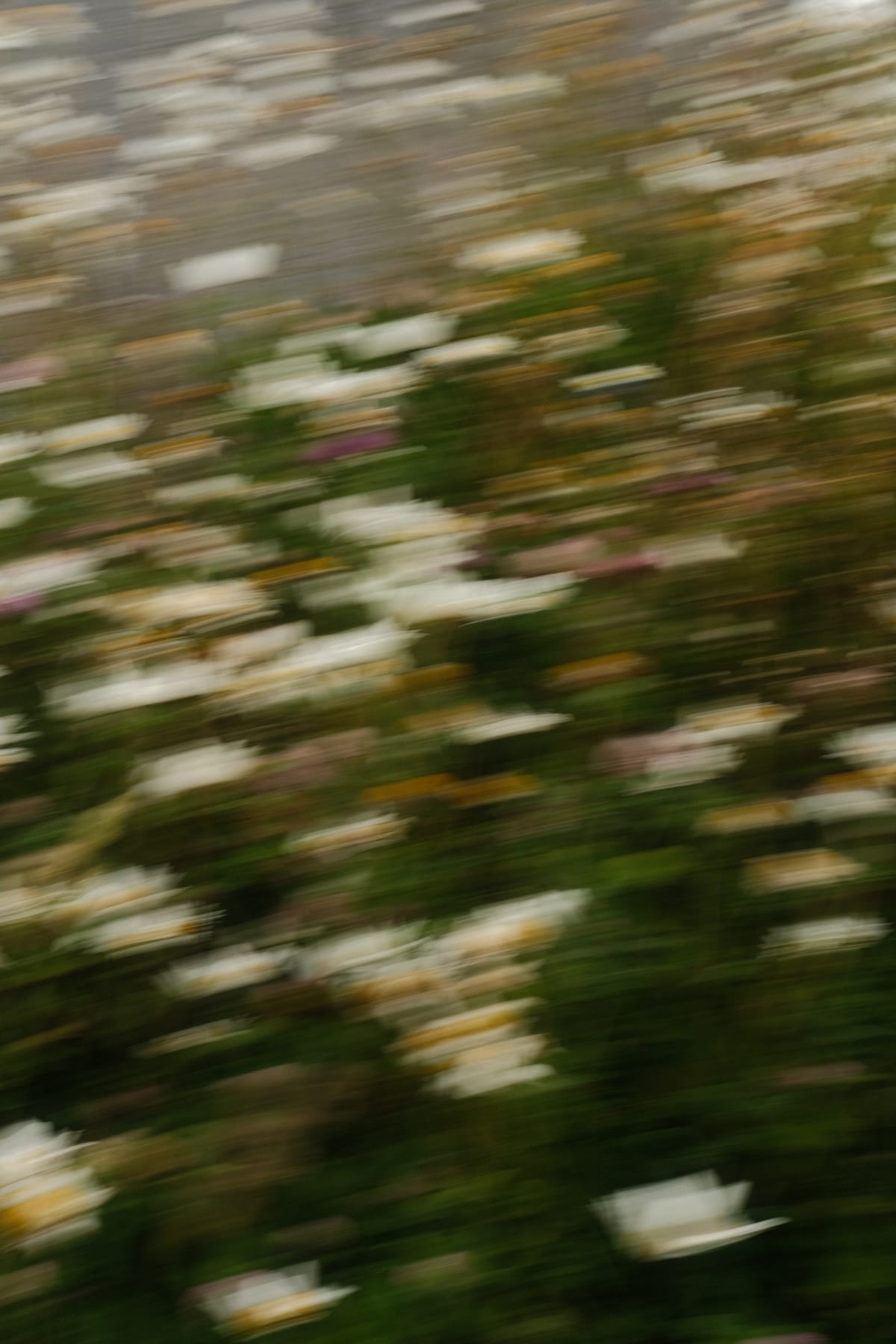 Beautiful blurs