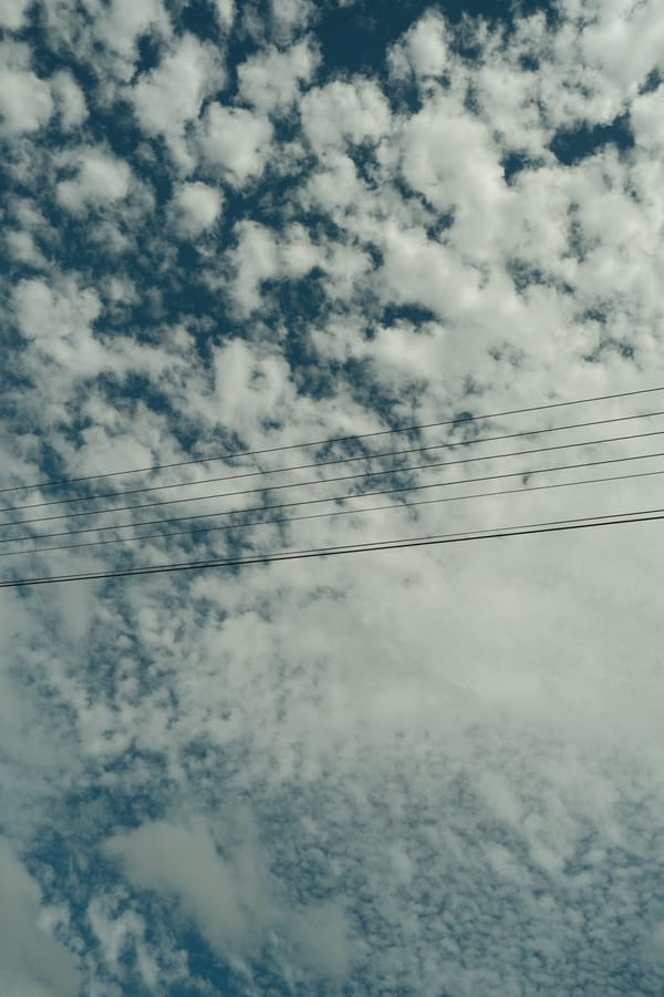 Zelda, Simplicity Parenting and searching for the perfect family wiki