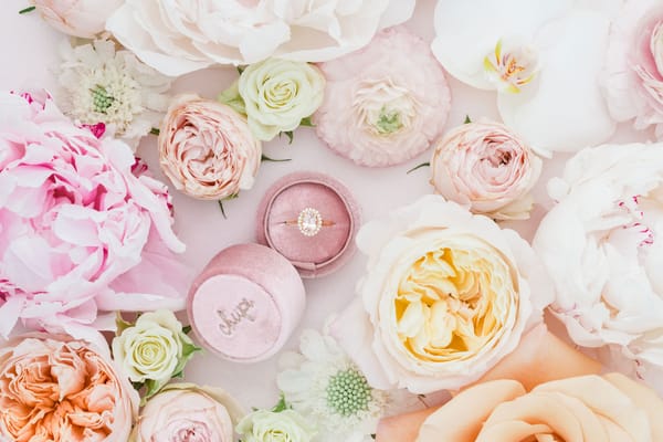 Lifestyle photography for Chupi