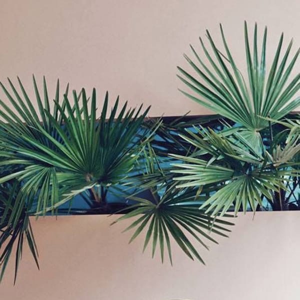 Colour crush: Pink and Green | nathalie.ie