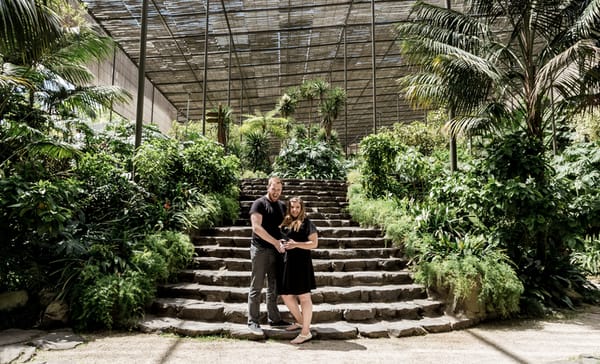 My eggo is preggo :)