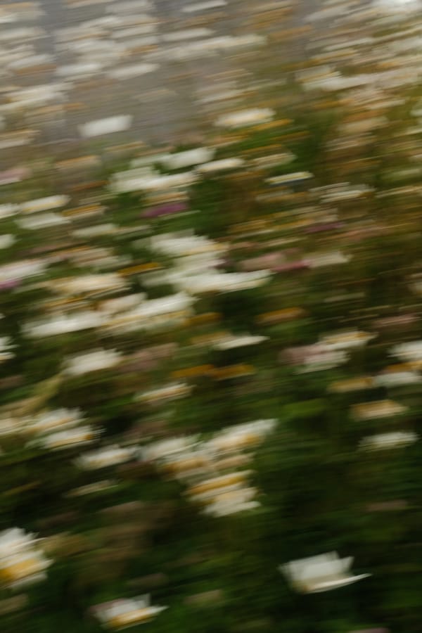 Beautiful blurs