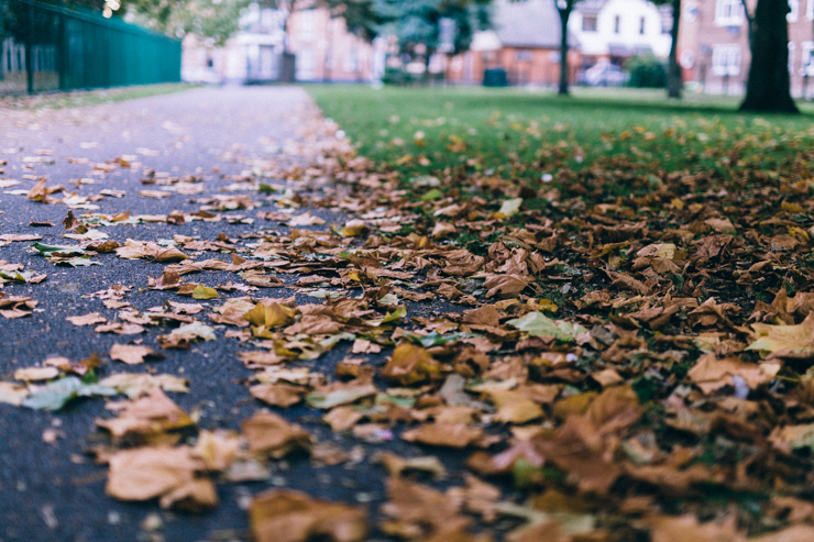 An Autumn Stroll | nathalie.ie