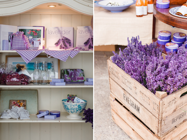 Summer lavender harvest in Wicklow | nathalie