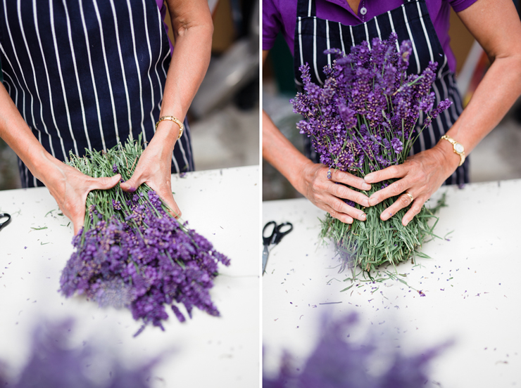 Summer lavender harvest in Wicklow | nathalie