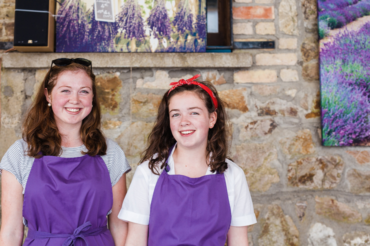 Summer lavender harvest in Wicklow | nathalie