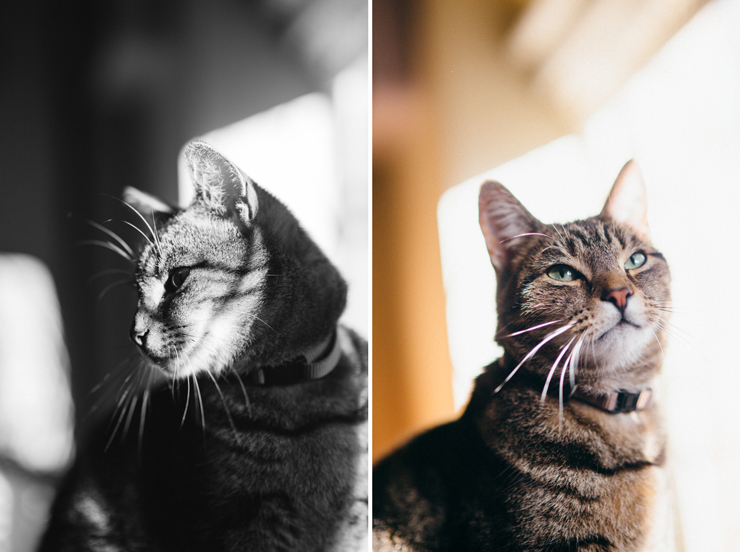 Life Unstyled | nathalie.ie