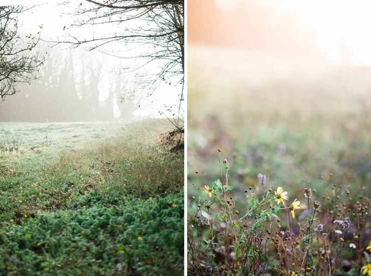 Brookfield Farm - lifestyle photography | nathalie.ie